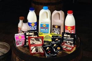 Improved trading conditions and business improvement projects and investments have translated into a more optimistic outlook for Warrnambool Cheese and Butter Factory.